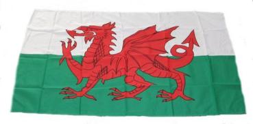 Fahne / Flagge Wales 30 x 45 cm