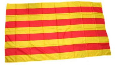 Fahne / Flagge Spanien - Katalonien 30 x 45 cm