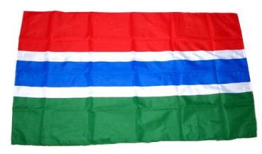 Fahne / Flagge Gambia 30 x 45 cm