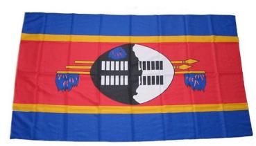 Fahne / Flagge Swasiland 30 x 45 cm