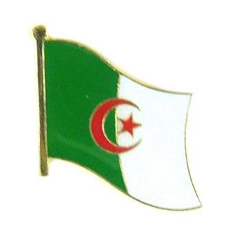 Fahnen Anstecker Pin Algerien