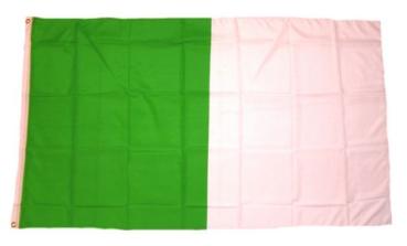 Fahne / Flagge Irland - Limerick 90 x 150 cm