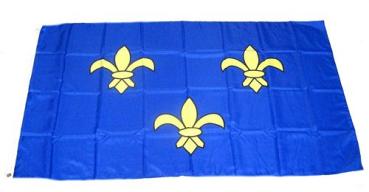 Fahne / Flagge Frankreich - Fleur de Lis 90 x 150 cm