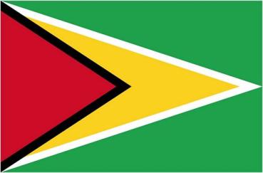 Fahnen Aufkleber Sticker Guyana