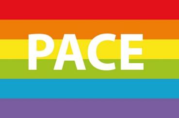 Fahnen Aufkleber Sticker Regenbogen - Pace