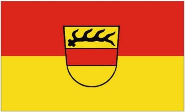 Fahne / Flagge Sulz am Neckar 90 x 150 cm