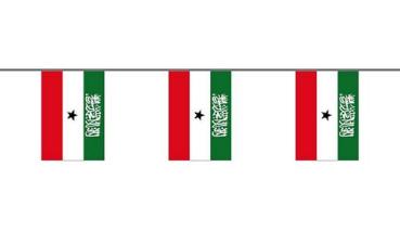 Flaggenkette Somaliland 6 m