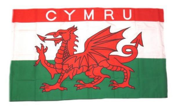 Fahne / Flagge Wales CYMRU 30 x 45 cm