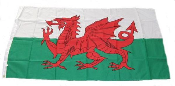 Fahne / Flagge Wales 60 x 90 cm