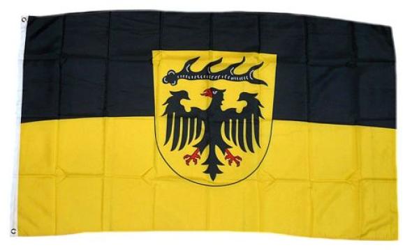 Fahne / Flagge Landkreis Ludwigsburg 90 x 150 cm