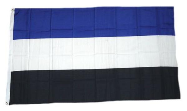 Fahne / Flagge Hamburg Tricolore 90 x 150 cm