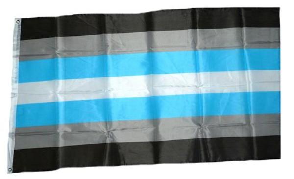 Fahne / Flagge Demiboy Pride 90 x 150 cm