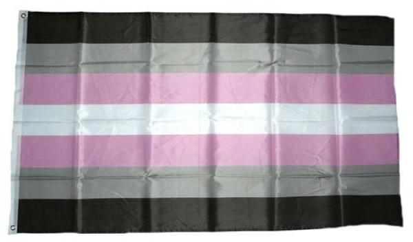 Fahne / Flagge Demigirl Pride 90 x 150 cm