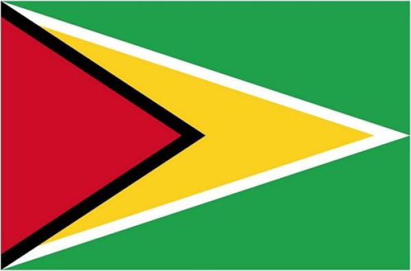 Fahnen Aufkleber Sticker Guyana