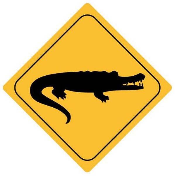 Aufkleber Sticker Achtung Krokodil Alligator