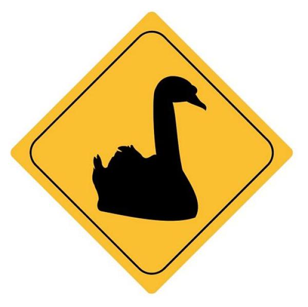 Aufkleber Sticker Achtung Schwan