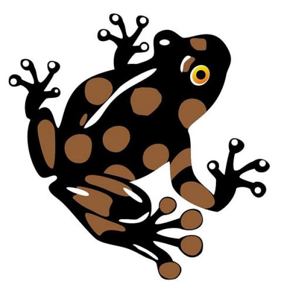 Aufkleber Sticker Frosch schwarz braun