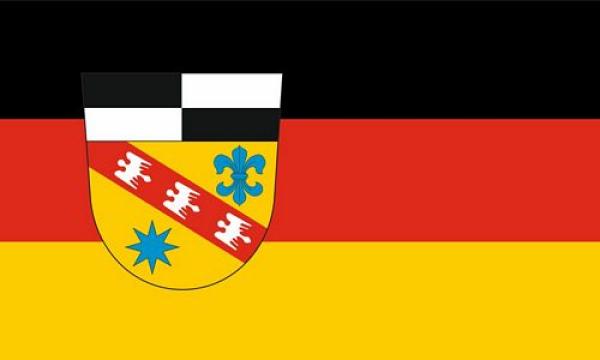 Fahne / Flagge Landkreis Saarlouis 90 x 150 cm