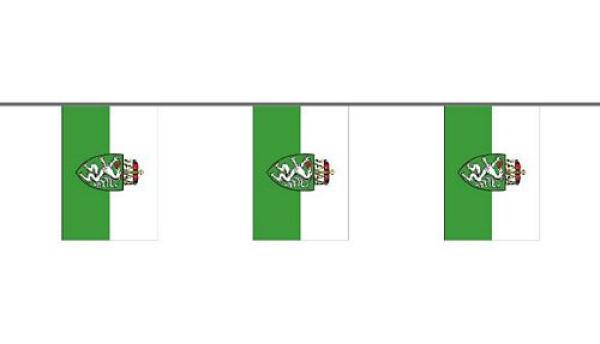 Flaggenkette Österreich - Steiermark 6 m