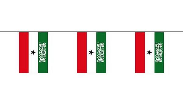 Flaggenkette Somaliland 6 m