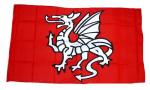 Fahne / Flagge Pentragon Drache 30 x 45 cm