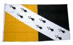 Fahne / Flagge England - Norfolk new 90 x 150 cm