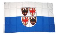 Fahne / Flagge Italien - Trentino 90 x 150 cm